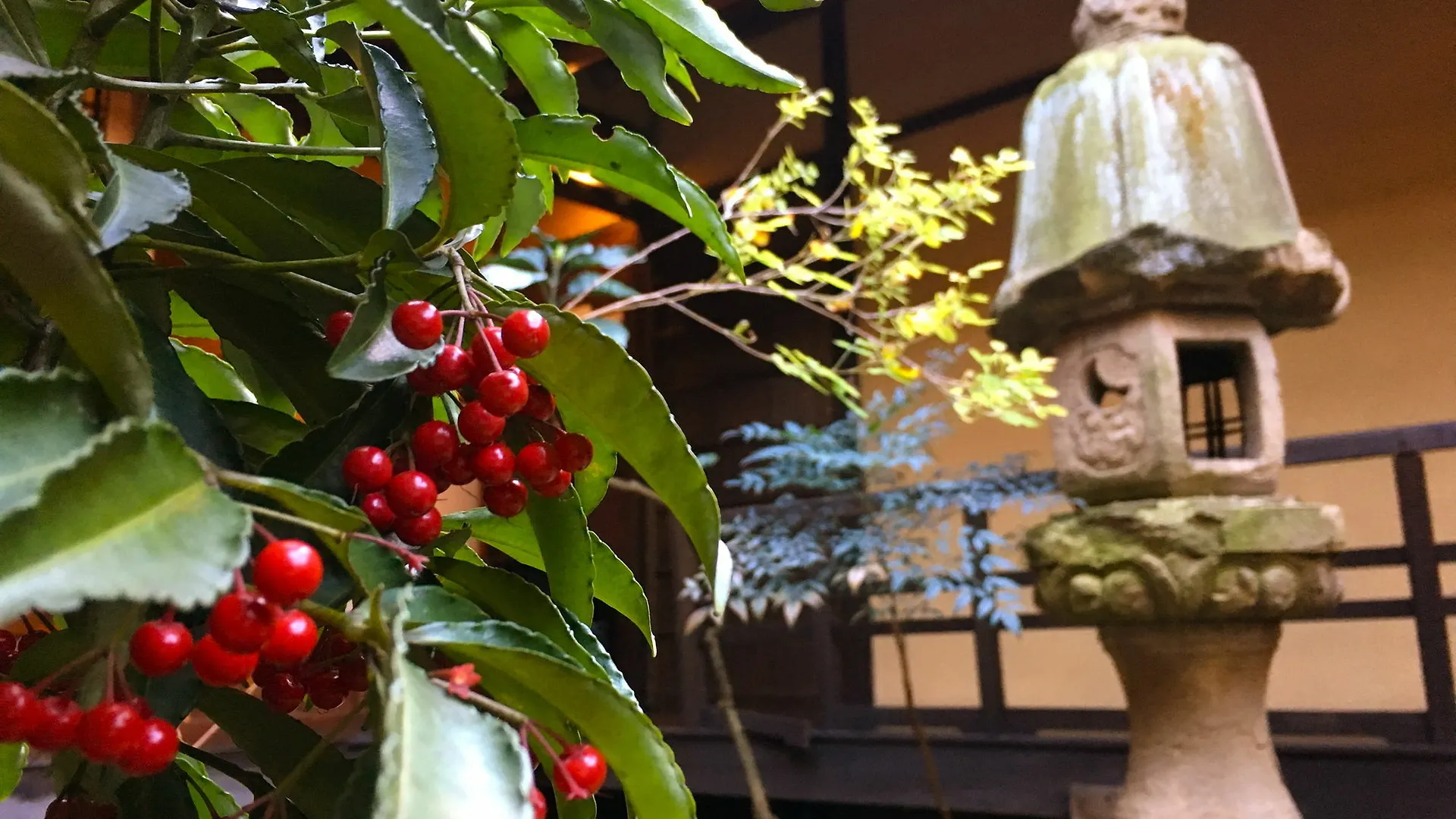 Guest House Taiko-Ya Bettei 180 Year Old Authentic Traditiona House Japan